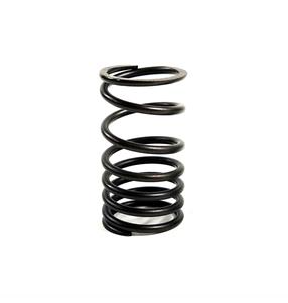 VALVE PRESSURE SPRING | PERKINS | AA 1004-4 | T417885OEM 